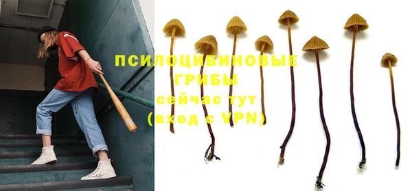 spice Елабуга