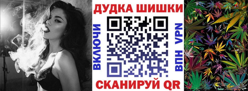 Купить где  Жердевка  Конопля сатива 